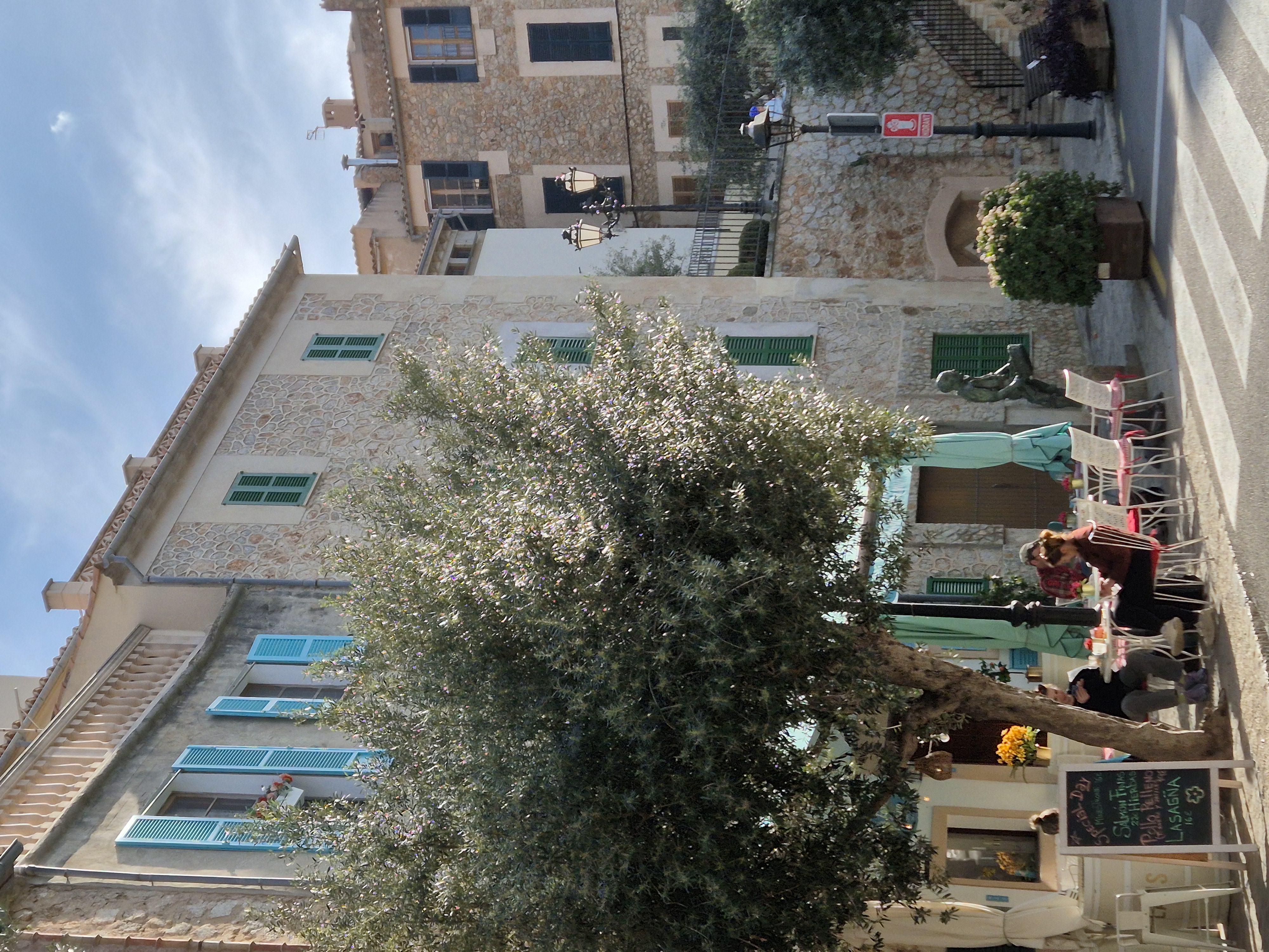 late afternoon cafe under an olive tree