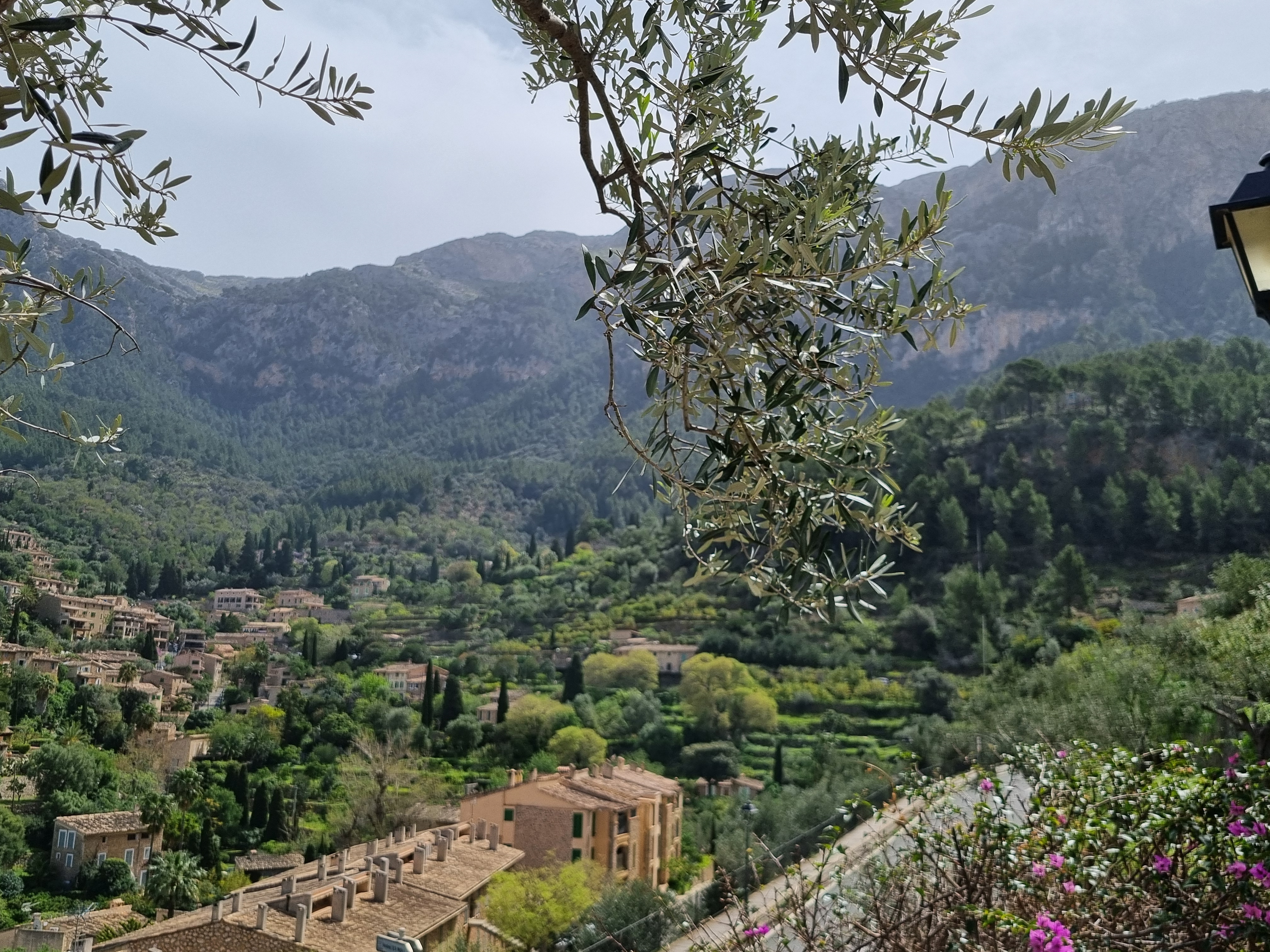 Deia from Es Moli
